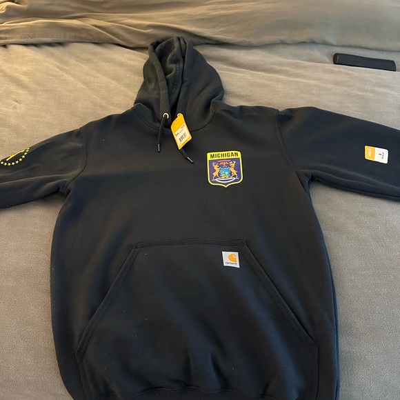 Carhartt Loose Fit Midweight Hoody Michigan - Picture 1 of 1